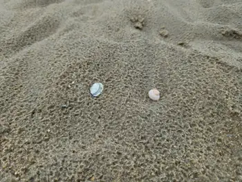 Bredene (België)